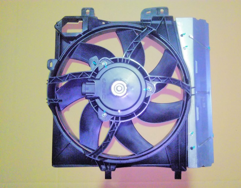 FANMOTOR+DAVLUNBAZ C3 II 1007 207 C-ELYSEE 301